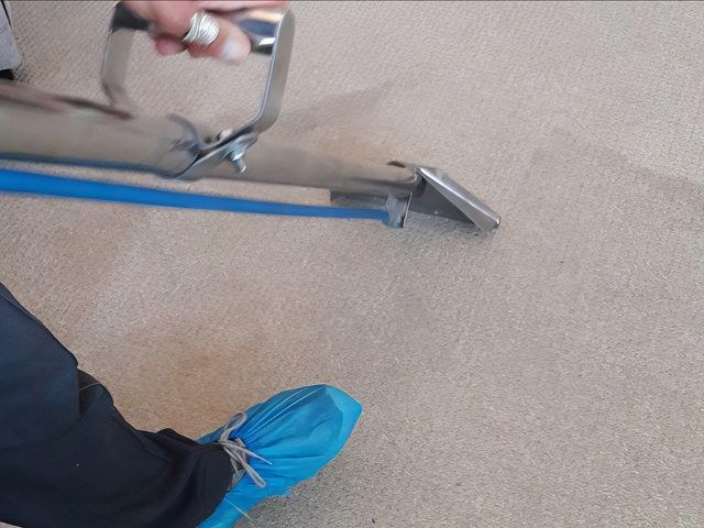 carpet cleaning 5 kireth ai