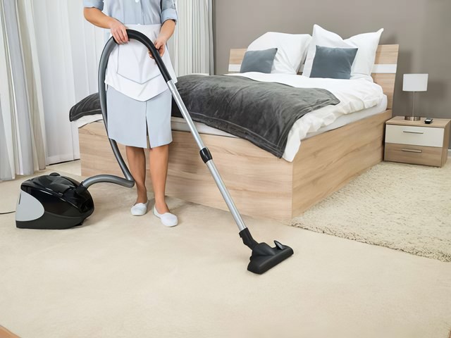 domestic cleaning 2 kireth ai